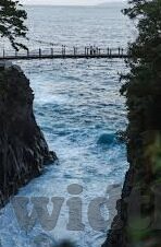 新浪足球比分网-新浪足球比分网，球迷的实时赛场指南针