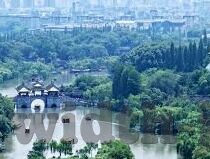 足球90比分-足球90分钟，比分背后的热血与智慧——深度解析绿茵场上的数字密码