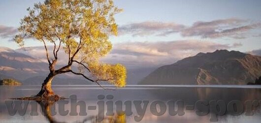 足球比分太难了-足球比分玄学大揭秘，为何你总猜不对那串数字？