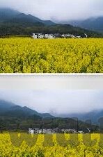 足球法国对秘鲁比分-绿茵烽火，法国2-0力克秘鲁，展现夺冠热门实力
