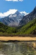 足球各种比分的概-足球比分概率学，揭秘绿茵场上的数字密码
