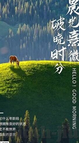 足球角球数比分-足球角球数与比分的微妙关系，赛场上的隐形指挥棒
