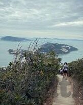 足球入球比分-足球入球比分的艺术，数字背后的激情与策略